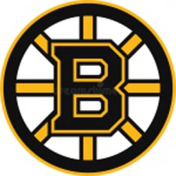 Boston Bruins
