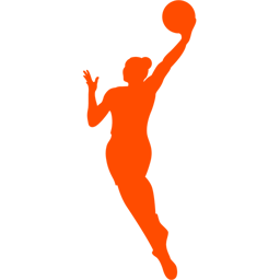 WNBA badge