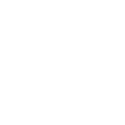 Eredivisie badge