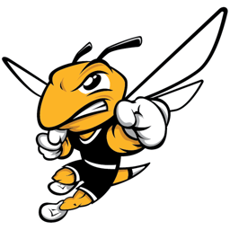 American International Yellow Jackets