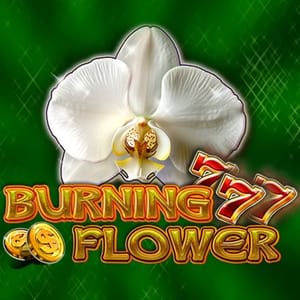 777 Burning Flower