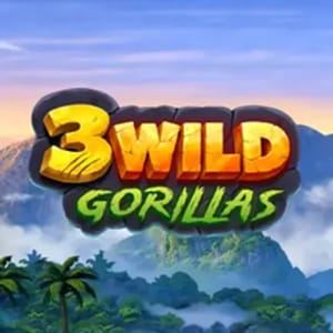 3 Wild Gorillas