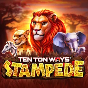 Ten Ton Ways Stampede 94
