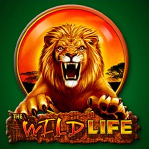 The Wild Life High Roller