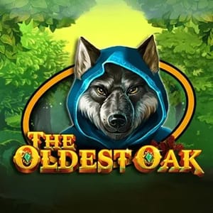 The Oldest Oak