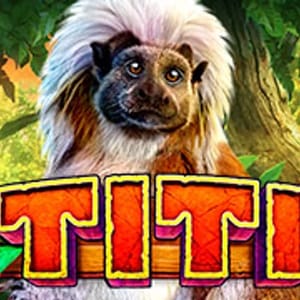 Titi