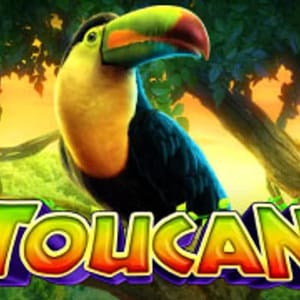 Toucan