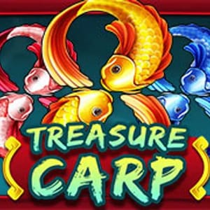Treasure Carp