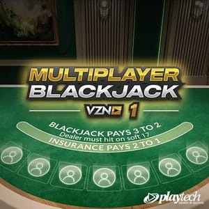 VZN Blackjack 1