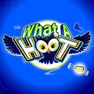 What A Hoot