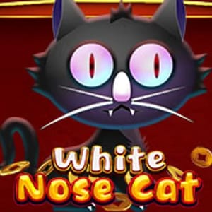 White Nose Cat