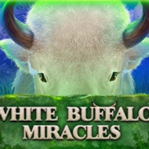 White Buffalo Miracles