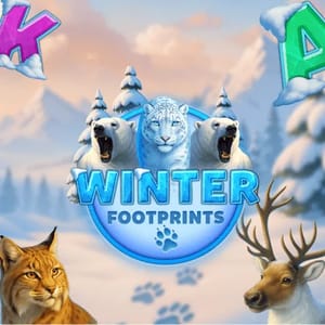 Winter Footprints
