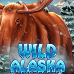 Wild Alaska