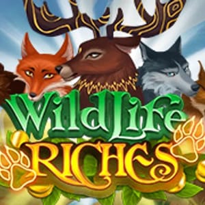 Wildlife Riches