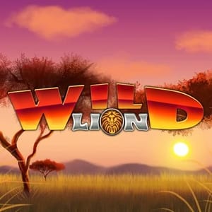 Wild Lion