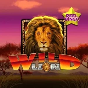 Wild Lion + Reel Bingo