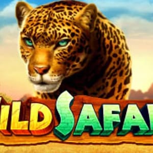Wild Safari