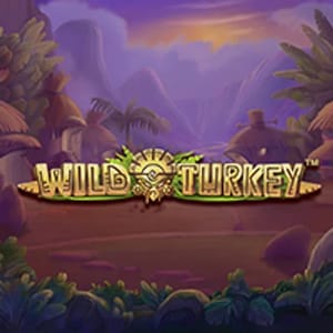Wild Turkey