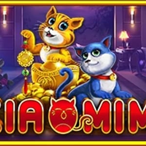 Xiao Mi Mi