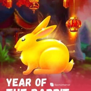 Year Of The Rabbit
