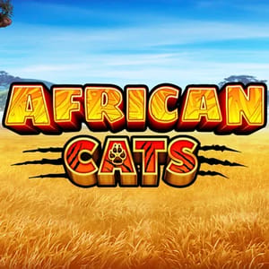 African Cats 96