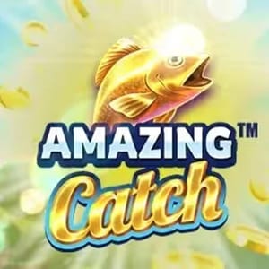 Amazing Catch Desktop