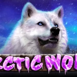 Arctic Wolf