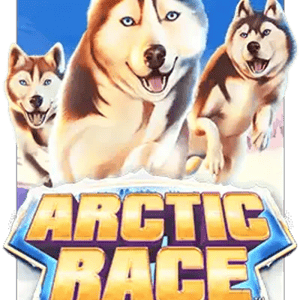 Arctic Race
