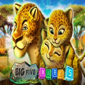 Big 5 baby 5