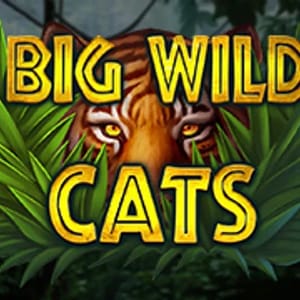 Big Wild Cats