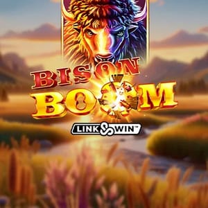 Bison Boom