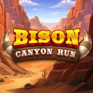 Bison - Canyon Run