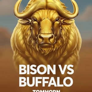 Bison vs Buffalo