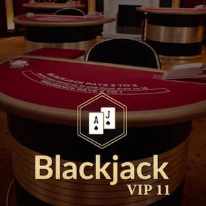 Blackjack VIP 11