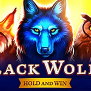 Black Wolf 2 Hold and Win
