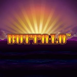 Buffalo