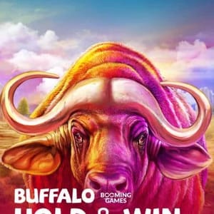 Buffalo Hold and Win