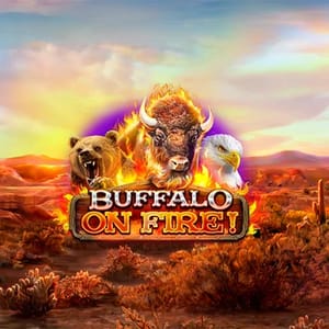 Buffalo on Fire!