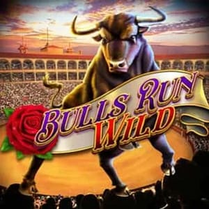 Bulls Run Wild