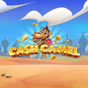 Cash Camel