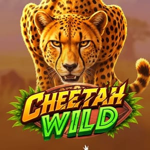 Cheetah Wild