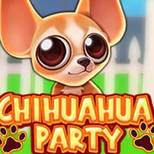 Chihuahua Party