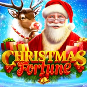 Christmas Fortune