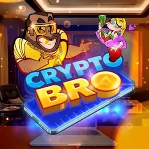 Crypto Bro
