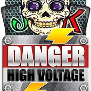 Danger High Voltage Megapays
