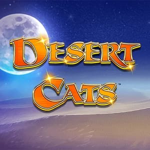 Desert Cats