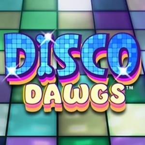 Disco Dawgs
