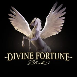 Divine Fortune Black