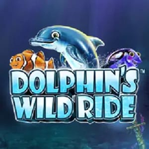 Dolphins Wild Ride